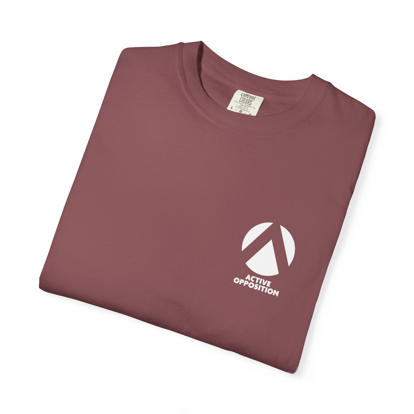 Paradox of Tolerance, Anti-Fascist Activism T-Shirt